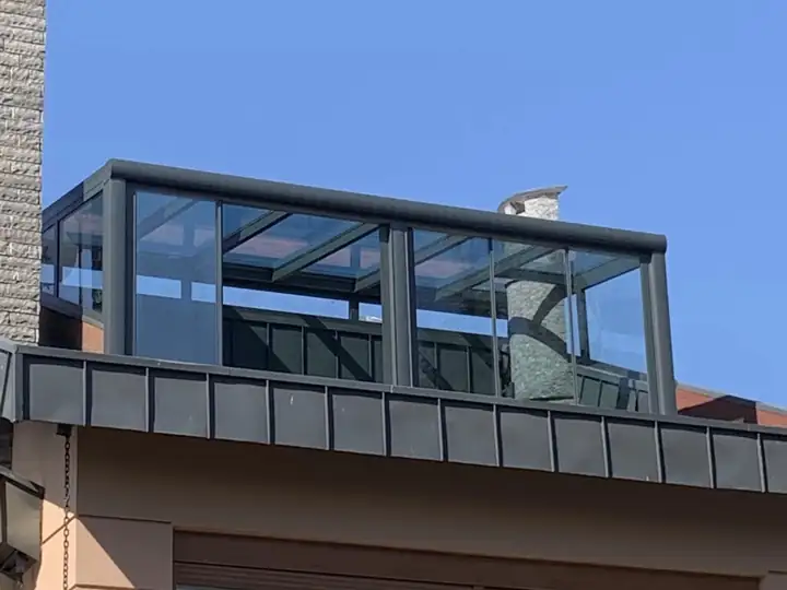 Camere de sticlă și grădini de iarnă